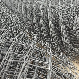 2,50მმ 50მმ*50მმ შავი - ჟანგვადი მავთულბადე 2,0 მეტრი/1,0 მეტრი-10 მეტრი