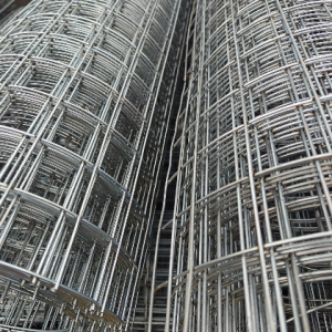 2.00მმ*50*50მმ - 1.50მეტრი 10მეტრი უჟანგავი შენადუღი ბადე